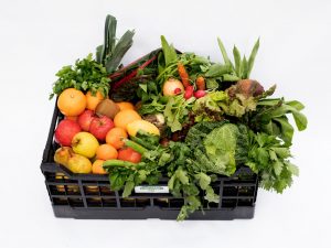 Casa da Tapada de Fora - cabaz de frutas e legumes da época.